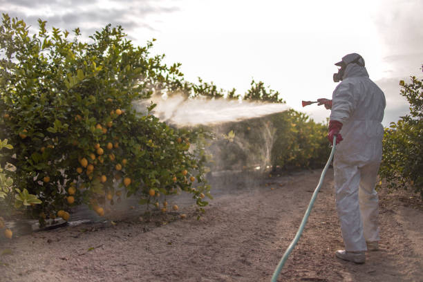 Best Pest Control for Homes  in , FL