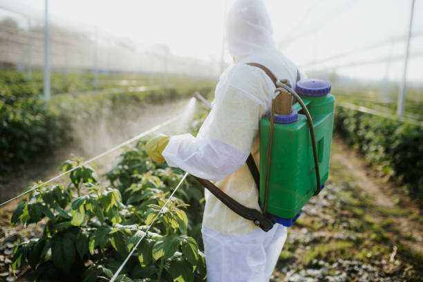 Best Emergency Pest Control  in , FL